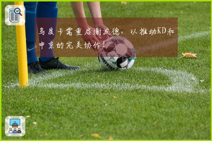 乌度卡需重启谢泼德，以推动KD和申京的完美协作！