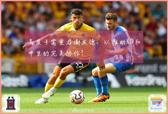 乌度卡需重启谢泼德，以推动KD和申京的完美协作！